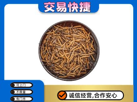 拉萨回收散虫草